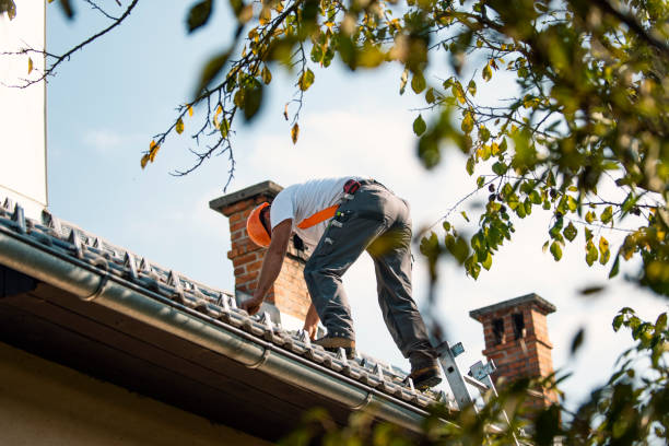 Best Roof Insulation Installation  in Lewisville, WA